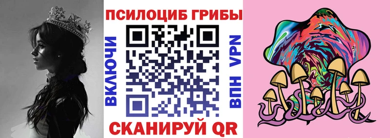 omg зеркало мориарти официальный сайт Галлюциногенные грибы MAGIC MUSHROOMS Сызрань